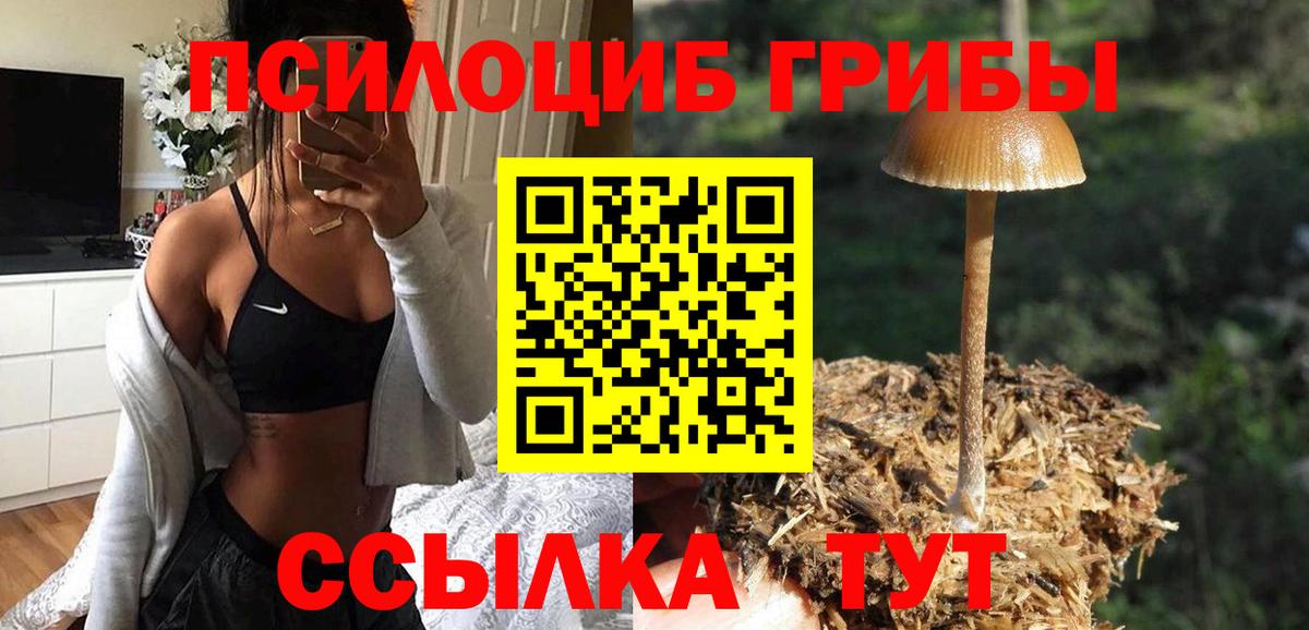 Псилоцибиновые грибы GOLDEN TEACHER  Вход с VPN  Мичуринск 