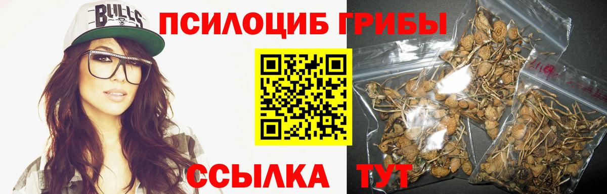 Галлюциногенные грибы GOLDEN TEACHER Мичуринск